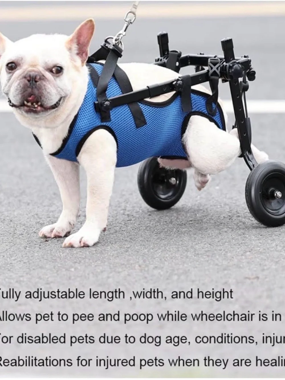Adjustable Dog Wheelchair Mobility Aid for Disabled Pets - Blue - Small/Medium